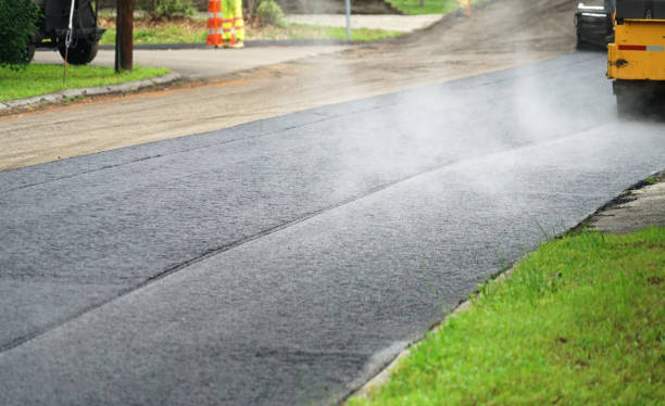 Best Local Driveway Pavers  in Crouch Mesa, NM